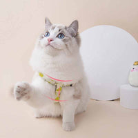 HKM-823443 Fruit Series Dog Collar and Leash Set for Small and Medium Dogs – Adjustable, Soft Polyester Material