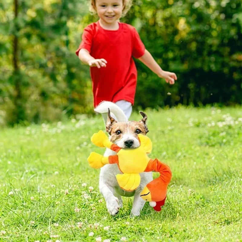 HKM-823443 Interactive Squeaky Dog Toy - Chew-Resistant Plush Chicken for Play and Dental Care
