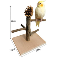 HKM-823699 Solid Wood Bird Training Station with Shelf for Parrots and Toys