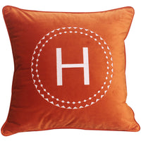 HKM-824147 Elegant Dutch Velvet Embroidery Pillow Cover, 45x45cm, Modern Design Accent Cushion
