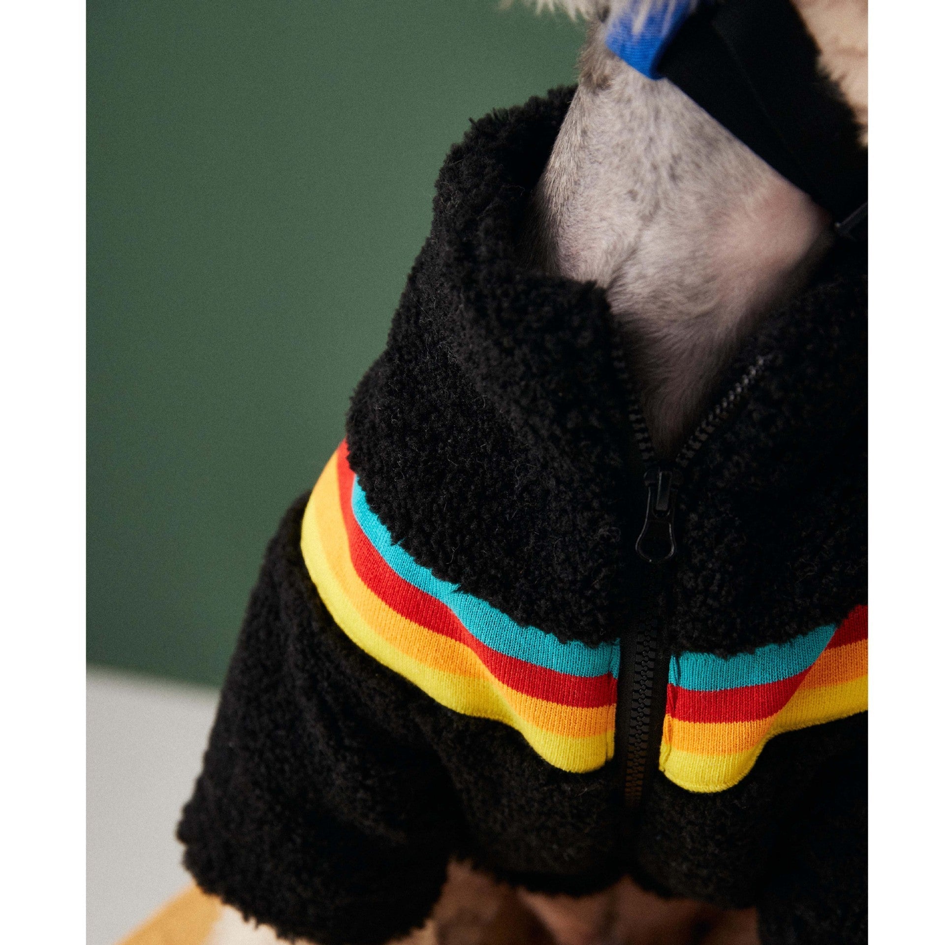 HKM-825363 Casual Fashion Color Striped Lamb Wool Coat in Black and Beige for Pets
