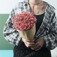 HKM-825683 Air-Dried Gypsophila Dried Flower Bouquet for Elegant Living Room Decor