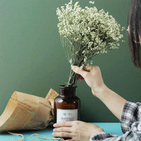 HKM-825683 Air-Dried Gypsophila Dried Flower Bouquet for Elegant Living Room Decor
