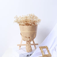 HKM-825683 Air-Dried Gypsophila Dried Flower Bouquet for Elegant Living Room Decor