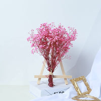 HKM-825683 Air-Dried Gypsophila Dried Flower Bouquet for Elegant Living Room Decor