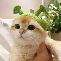 HKM-825747 Cute Plush Green Pet Hat for Small Dogs and Cats - Adjustable Size, Comfortable Winter Accessory