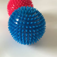 HKM-826515 Large Dog Vocal Toy Ball Stab Massage Ball Bouncy Ball