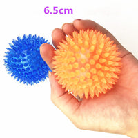 HKM-826515 Large Dog Vocal Toy Ball Stab Massage Ball Bouncy Ball