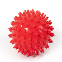 HKM-826515 Large Dog Vocal Toy Ball Stab Massage Ball Bouncy Ball