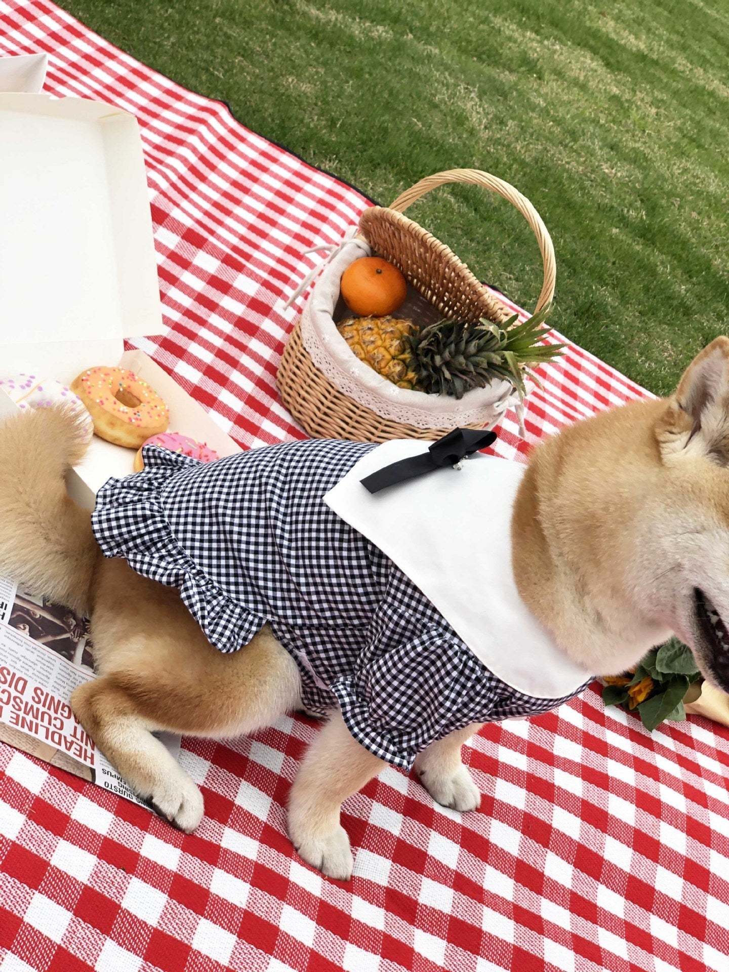 HKM-827667 Casual Cotton Shirt for Pets - Comfortable and Stylish Pet Apparel