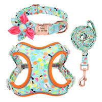 HKM-827923 Small Dog Leash with Adjustable Collar for Teddy and Corgi Breeds