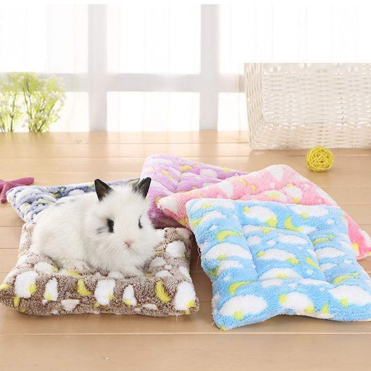 HKM-828371 Candy Color Pet Sleeping Mat – Soft Coral Velvet with Pearl Cotton, Multi Sizes Available
