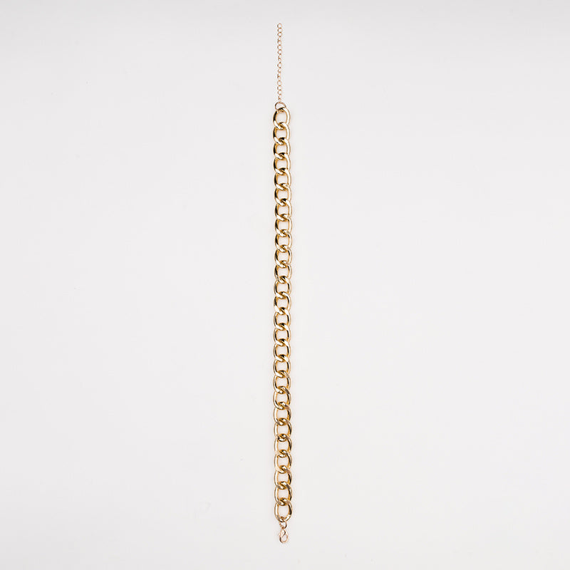 HKM-830355 Metal Gold Necklace for Pets - Available in Medium and Large Sizes with Extension Chain