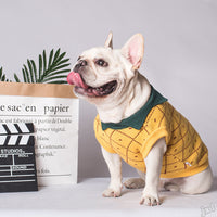 HKM-830931 Cozy Cotton Dog Sweater in Yellow - Japanese and Korean Style, Multiple Sizes Available