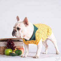 HKM-830931 Cozy Cotton Dog Sweater in Yellow - Japanese and Korean Style, Multiple Sizes Available
