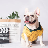 HKM-830931 Cozy Cotton Dog Sweater in Yellow - Japanese and Korean Style, Multiple Sizes Available