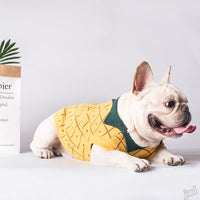 HKM-830931 Cozy Cotton Dog Sweater in Yellow - Japanese and Korean Style, Multiple Sizes Available