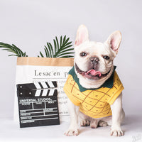 HKM-830931 Cozy Cotton Dog Sweater in Yellow - Japanese and Korean Style, Multiple Sizes Available