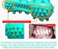 HKM-833491 Durable Rubber Molar Stick Dog Chew Toy for Small to Medium Aggressive Dogs