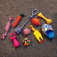 HKM-834259 Vocal dog toy