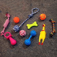 HKM-834259 Vocal dog toy