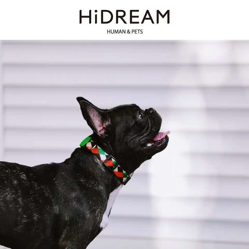 HKM-835667 Durable Nylon Pet Traction Neckband - Explosion-Proof Collar in Sunrise, Bobby, Hill Mark, Florida