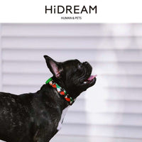 HKM-835667 Durable Nylon Pet Traction Neckband - Explosion-Proof Collar in Sunrise, Bobby, Hill Mark, Florida