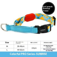 HKM-835667 Durable Nylon Pet Traction Neckband - Explosion-Proof Collar in Sunrise, Bobby, Hill Mark, Florida
