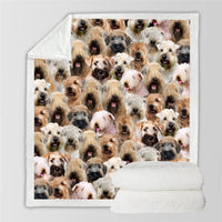 HKM-837267 Cozy Modern Printed Flannel Blanket for Pets in Two Sizes