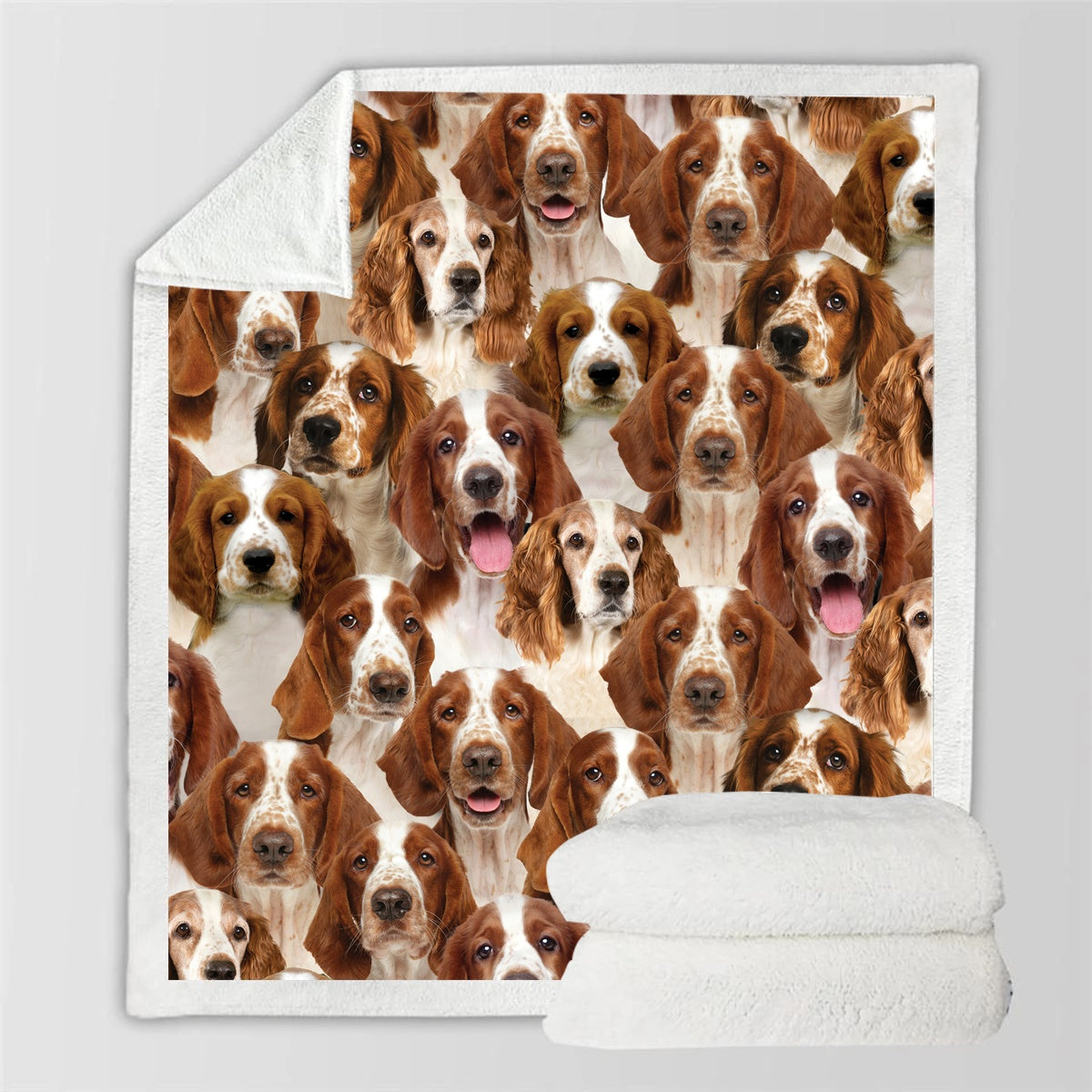 HKM-837267 Cozy Modern Printed Flannel Blanket for Pets in Two Sizes