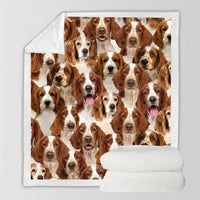 HKM-837267 Cozy Modern Printed Flannel Blanket for Pets in Two Sizes
