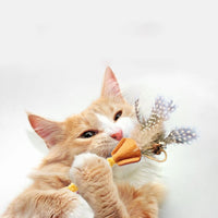 HKM-838291 Natural Polygonum Wood Cat Molar Stick Feather Toy - Promotes Dental Health and Play for Cats
