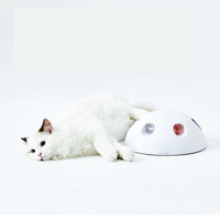 HKM-840019 Xiaopei Hemisphere Cat toy Electric Intelligent Self-healing Cat Automatic Cat Teaser Pet Toy Relieve Boredom