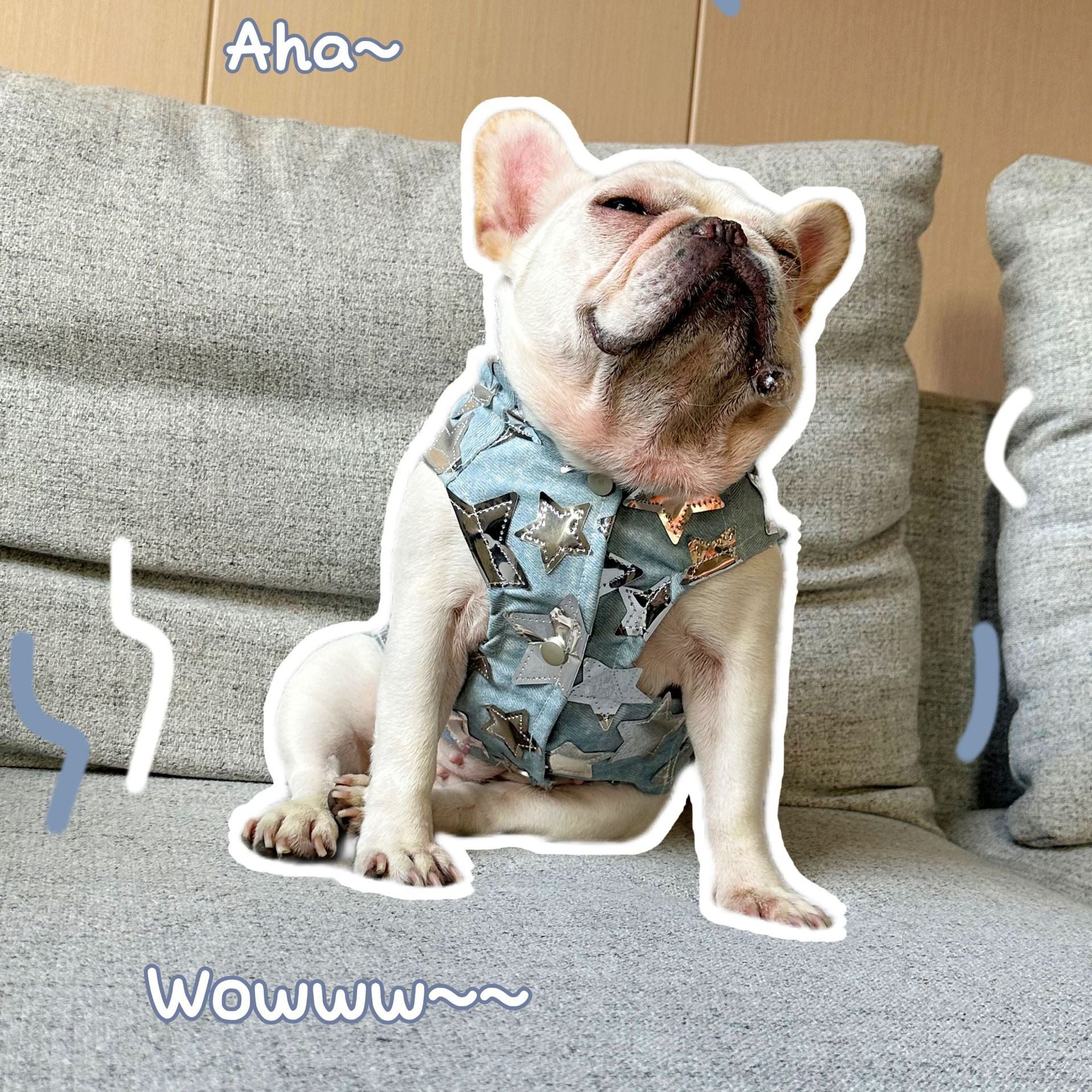 HKM-840147 Light Blue Denim Vest Jacket for Cats and Dogs in Various Sizes