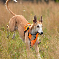 HKM-840915 Adjustable Thoracolumbar Vest for Medium and Large Dogs - Heavy Duty Nylon Chest Band