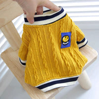 HKM-842515 Chic Knitted Teddy Sweater for Spring and Autumn in Yellow and Green Options