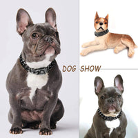 HKM-842707 Stainless Steel Dog Collar and Leash Set for Medium and Large Breeds, Durable Anti-Bite Design