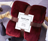 HKM-847315 Double-Sided Coral Fleece Blanket - Thick, Soft Polyester for Cozy Comfort