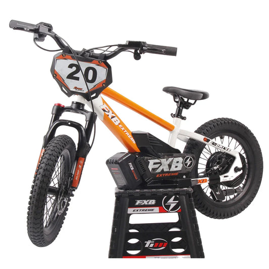 KTX-852179 16-Inch Children’s Electric Balance Bike with Aluminum Frame, Brushless Motor, and Hydraulic Disc Brakes