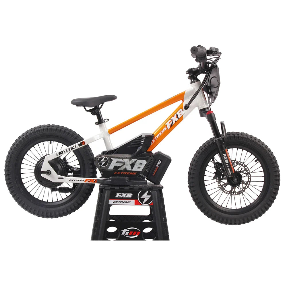 KTX-852179 16-Inch Children’s Electric Balance Bike with Aluminum Frame, Brushless Motor, and Hydraulic Disc Brakes