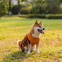 HKM-853331 Warm Halloween Dog Sweater Costume for Small Pets in Orange with Pumpkin Design