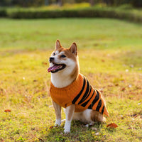 HKM-853331 Warm Halloween Dog Sweater Costume for Small Pets in Orange with Pumpkin Design