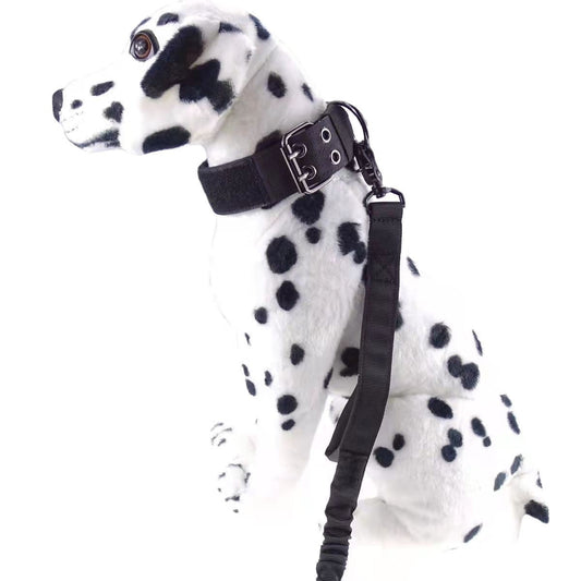 HKM-857235 Medium to Large Nylon Dog Collar for Outdoor Use - Custom Colors Available