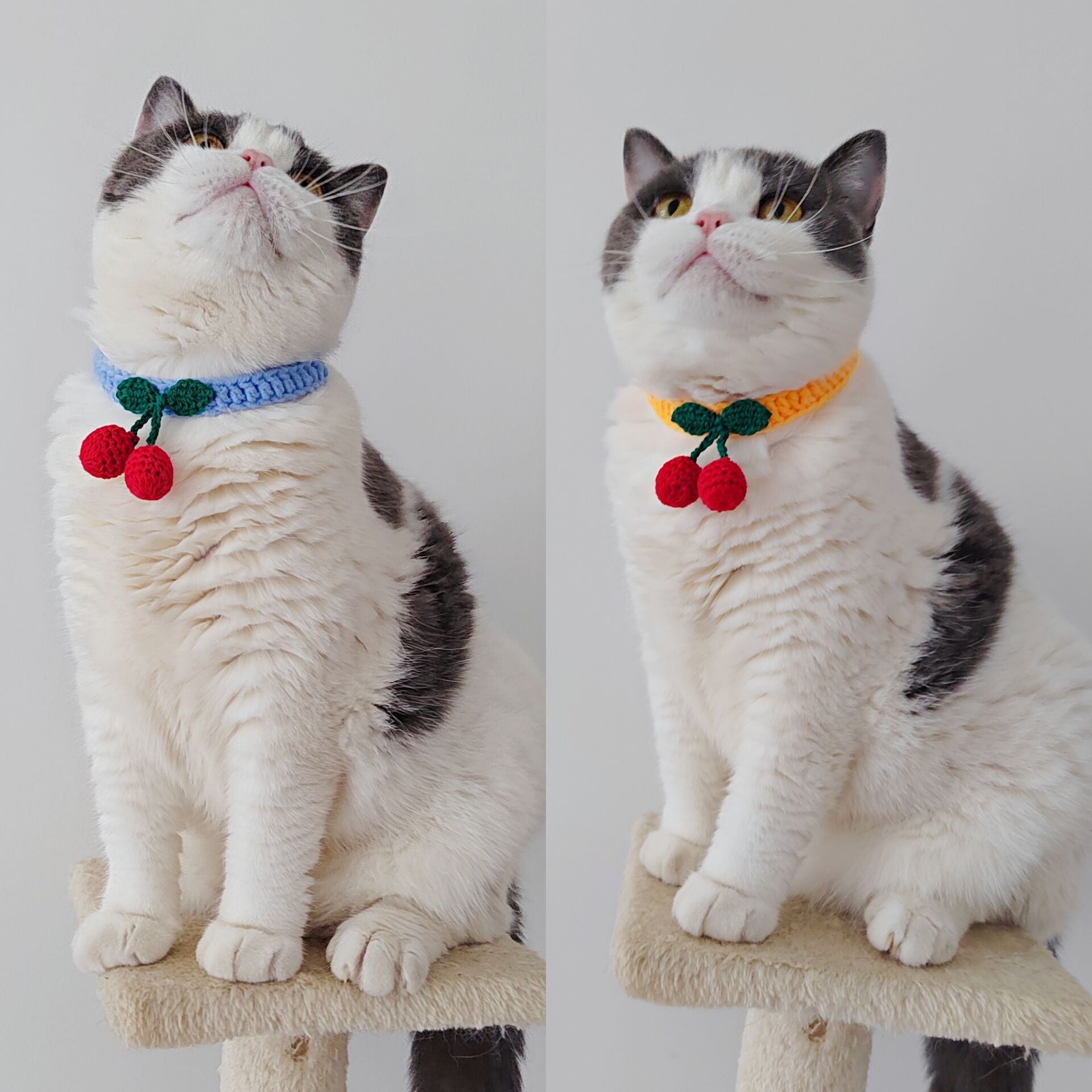 HKM-858771 Handmade Knitted Pet Collar in Fruit Patterns - Soft Cotton for All Seasons