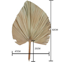 HKM-859347 Dried Palm Leaf for Window Reception and Wedding Arch Decoration