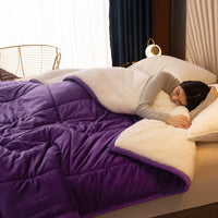 HKM-861971 Cozy Three-Layer Lamb Fleece Blanket in Various Colors and Sizes