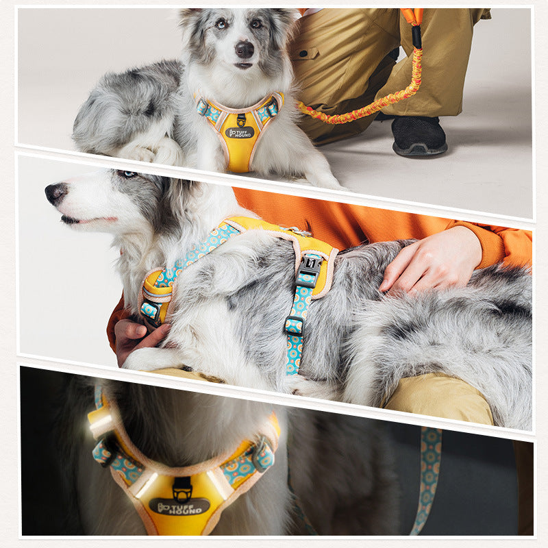 HKM-862163 Adjustable Nylon Chest Strap and Leash Set for Dogs in Multiple Colors