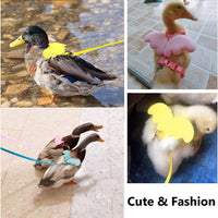 HKM-863315 Adjustable Pet Harness with Wing Design and Traction Leash for Small Animals