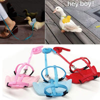 HKM-863315 Adjustable Pet Harness with Wing Design and Traction Leash for Small Animals