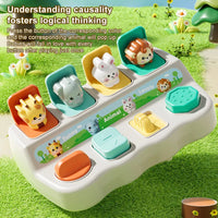 HKM-864275 Animal Popup Game for Kids - Engaging Educational Toy to Enhance Hand Coordination Skills